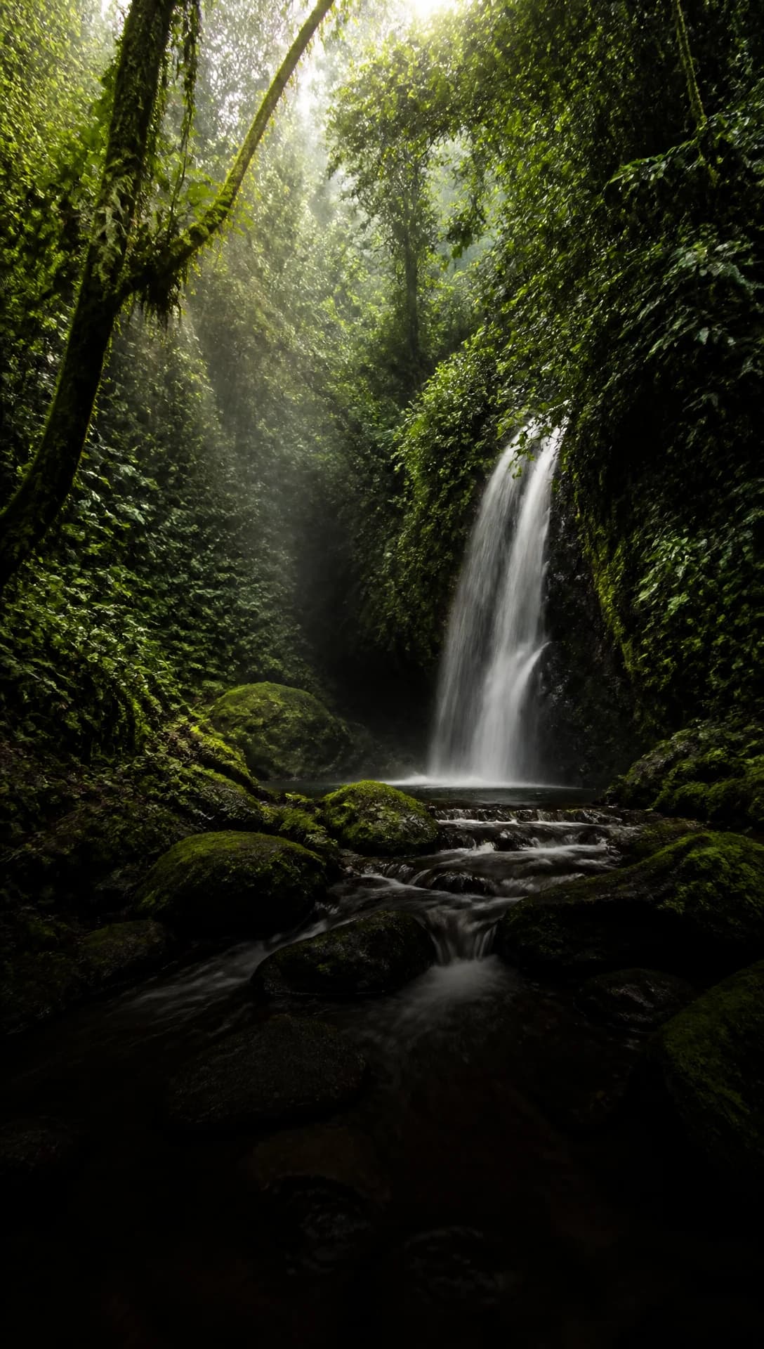 Hotels in Costa Rica